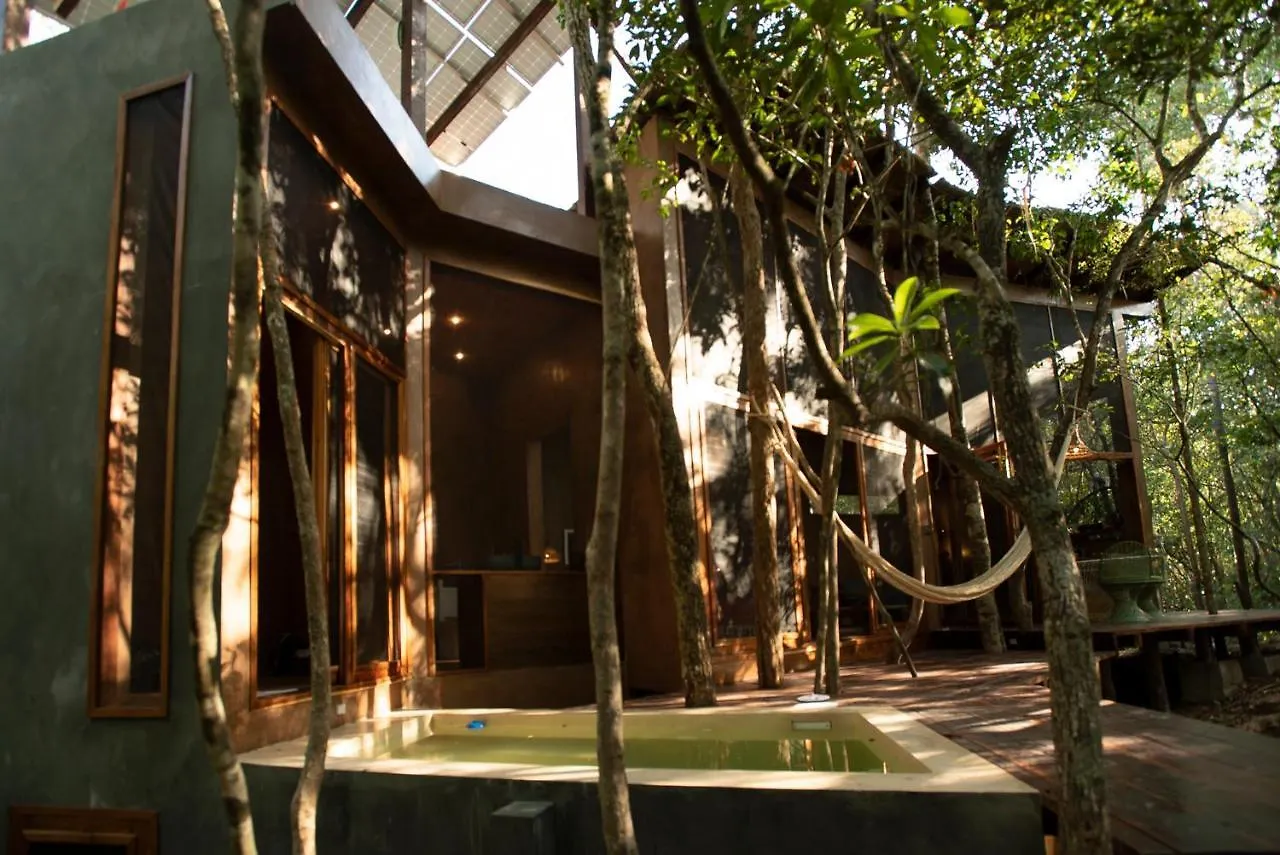 Ojo De Arbol, Boutique Cabin In The Real Jungle Tulum Villa