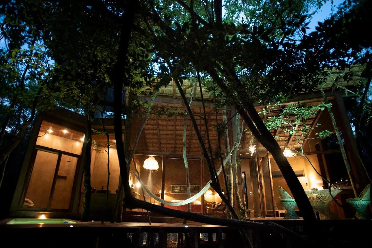 Ojo De Arbol, Boutique Cabin In The Real Jungle Tulum