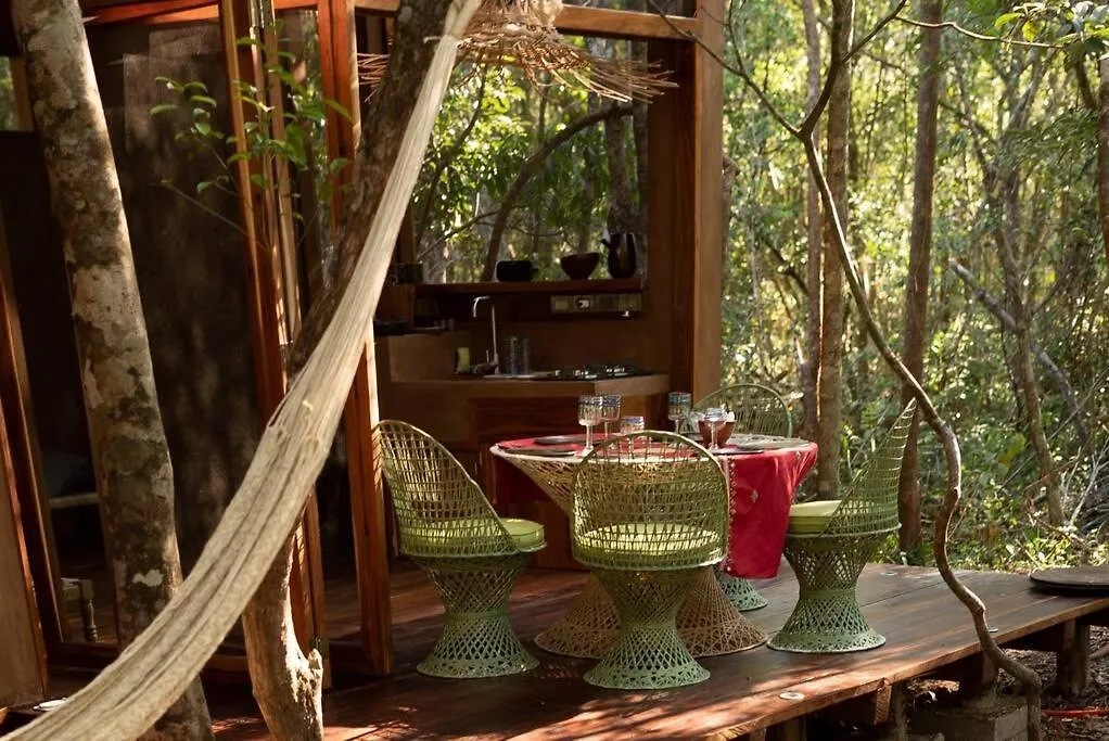 Ojo De Arbol, Boutique Cabin In The Real Jungle Tulum Villa