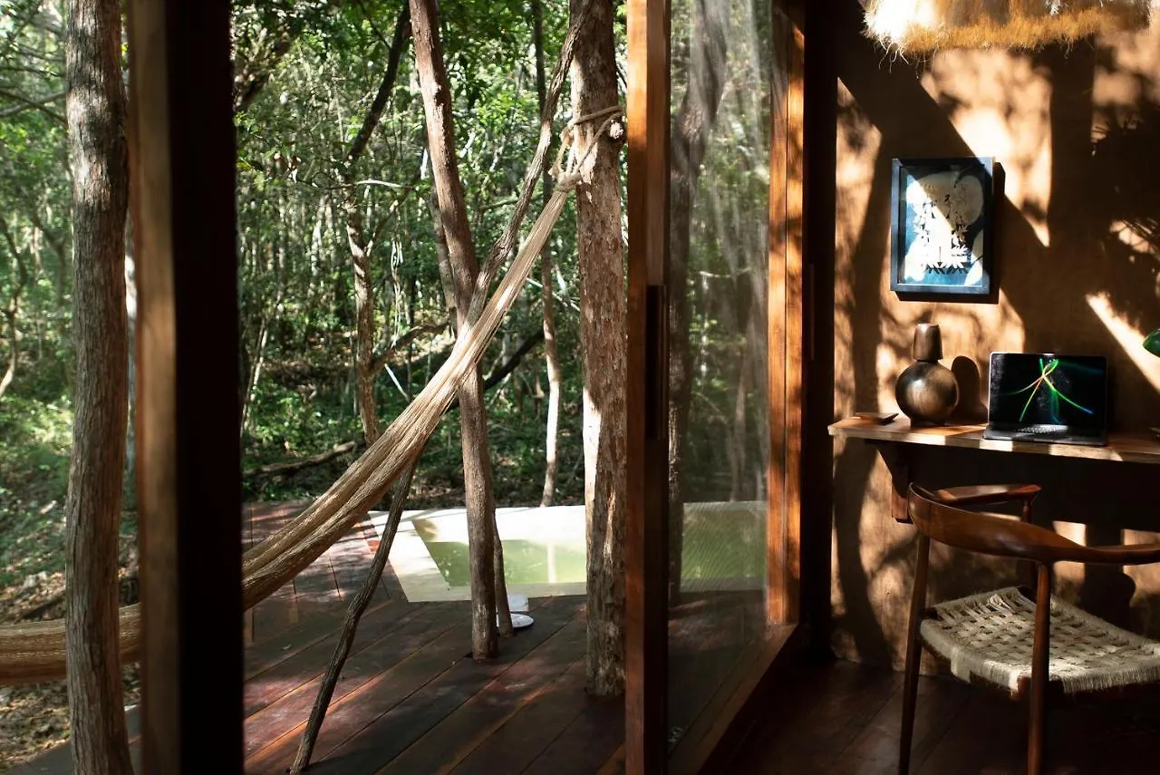 Ojo De Arbol, Boutique Cabin In The Real Jungle Tulum 0*,  Mexico