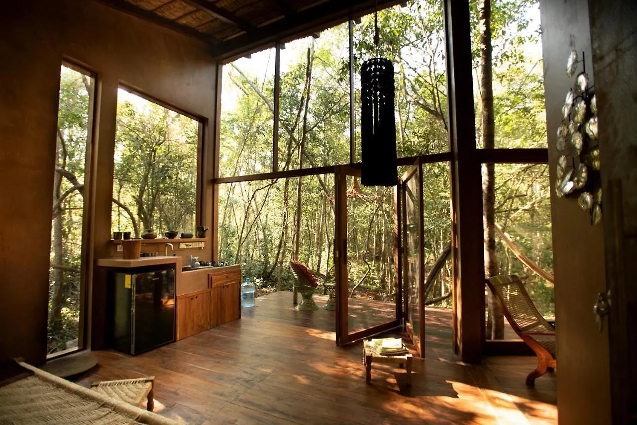 Ojo De Arbol, Boutique Cabin In The Real Jungle Tulum Mexico