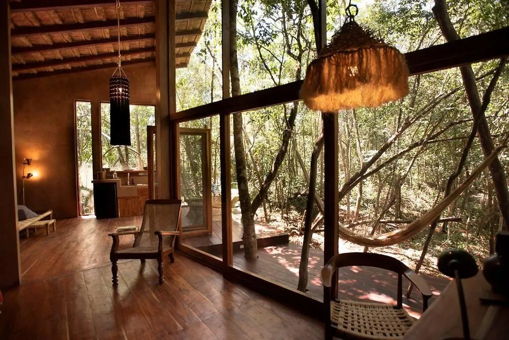 Ojo De Arbol, Boutique Cabin In The Real Jungle Tulum 0*,