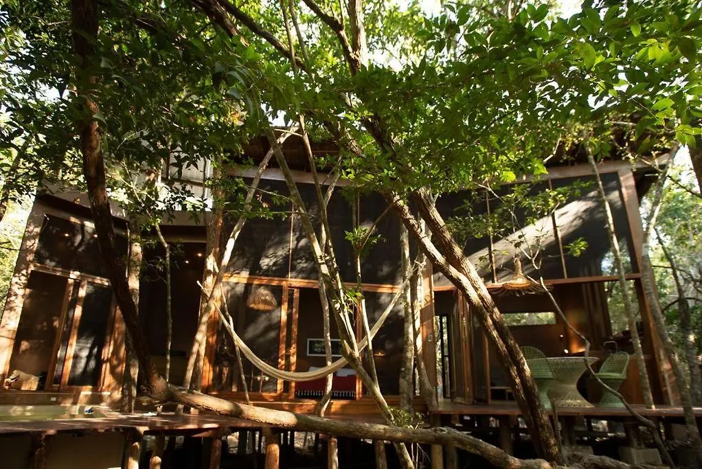 Ojo De Arbol, Boutique Cabin In The Real Jungle Tulum