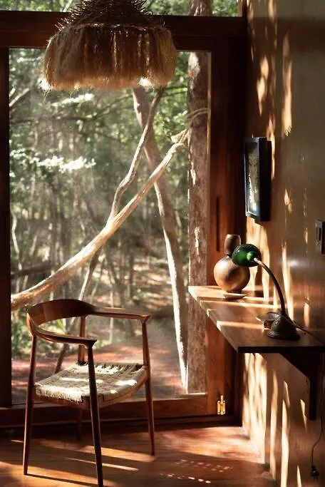 Ojo De Arbol, Boutique Cabin In The Real Jungle Tulum 0*,  Mexico